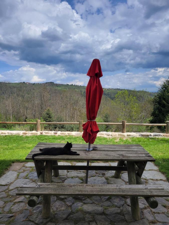 Se Reconnecter A La Nature Au Gite 3 Etoiles De Montager A Saint Andre De Chalencon Eksteriør billede