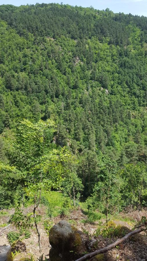 Se Reconnecter A La Nature Au Gite 3 Etoiles De Montager A Saint Andre De Chalencon Eksteriør billede