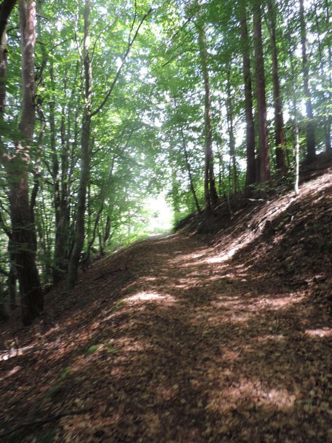 Se Reconnecter A La Nature Au Gite 3 Etoiles De Montager A Saint Andre De Chalencon Eksteriør billede