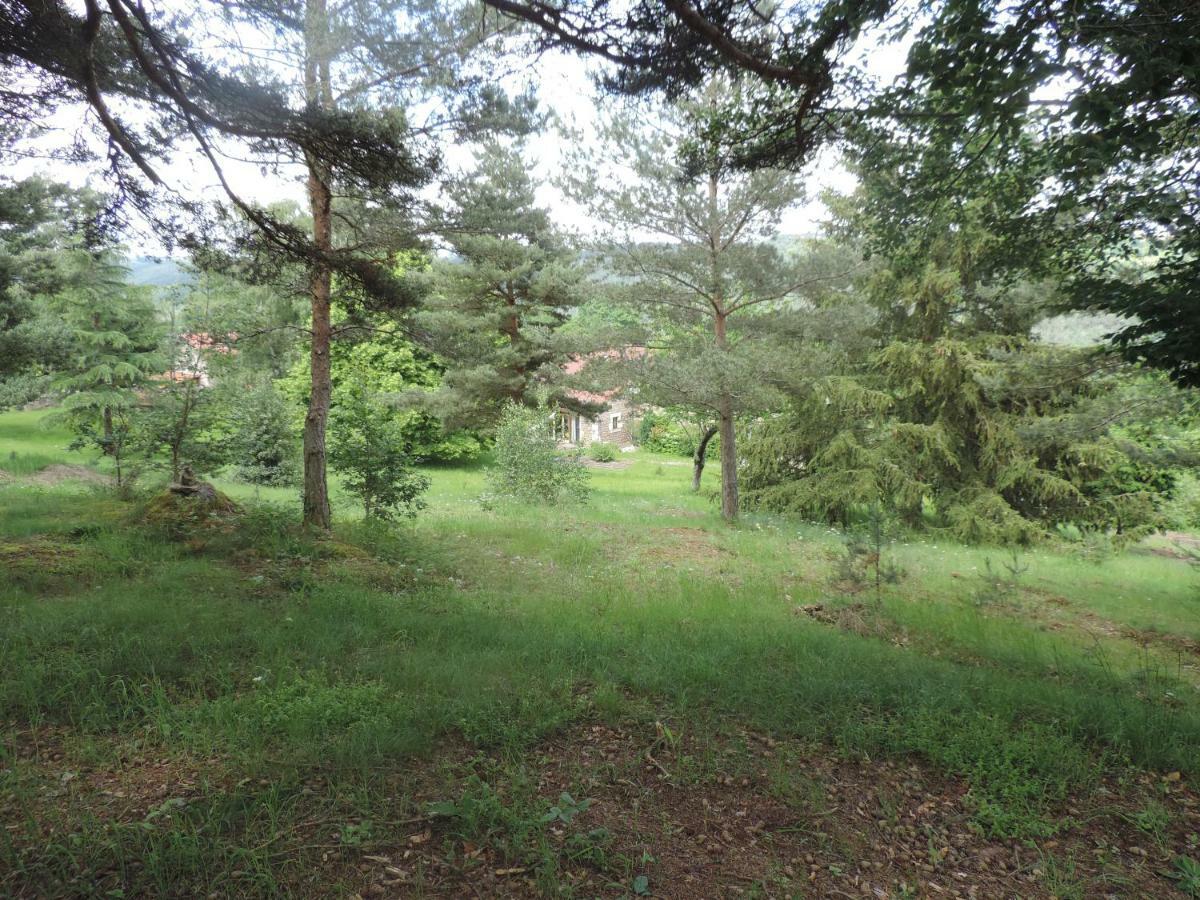 Se Reconnecter A La Nature Au Gite 3 Etoiles De Montager A Saint Andre De Chalencon Eksteriør billede