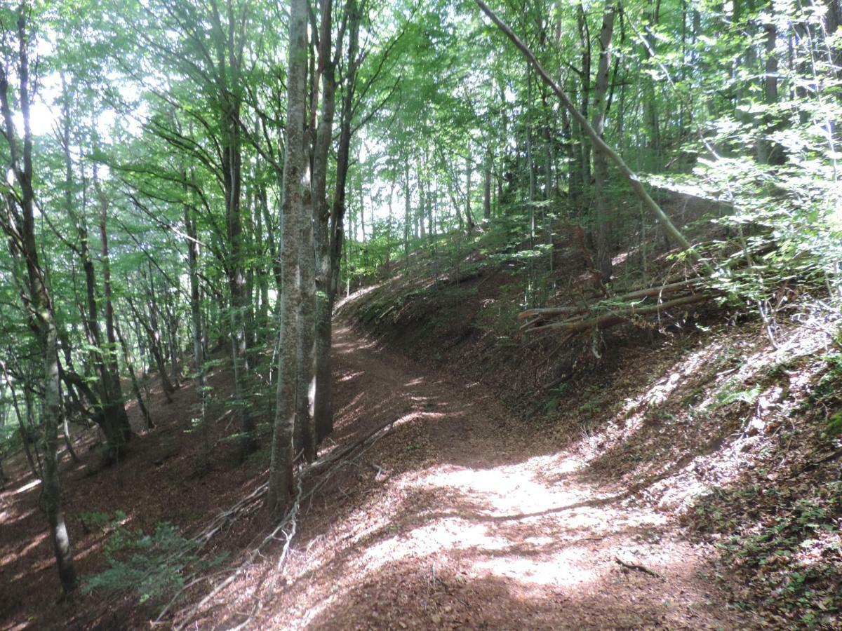 Se Reconnecter A La Nature Au Gite 3 Etoiles De Montager A Saint Andre De Chalencon Eksteriør billede
