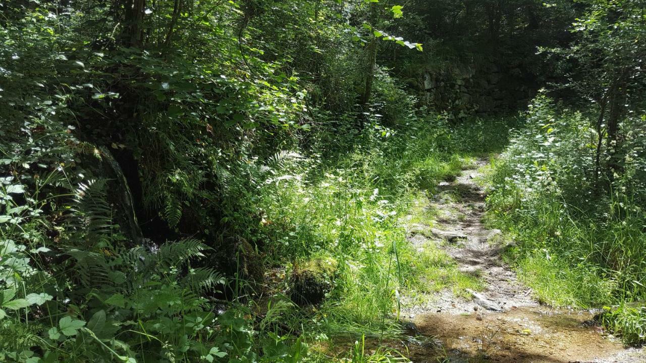 Se Reconnecter A La Nature Au Gite 3 Etoiles De Montager A Saint Andre De Chalencon Eksteriør billede
