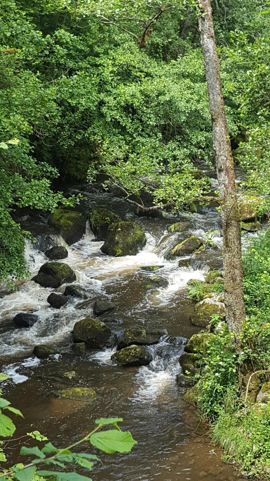 Se Reconnecter A La Nature Au Gite 3 Etoiles De Montager A Saint Andre De Chalencon Eksteriør billede